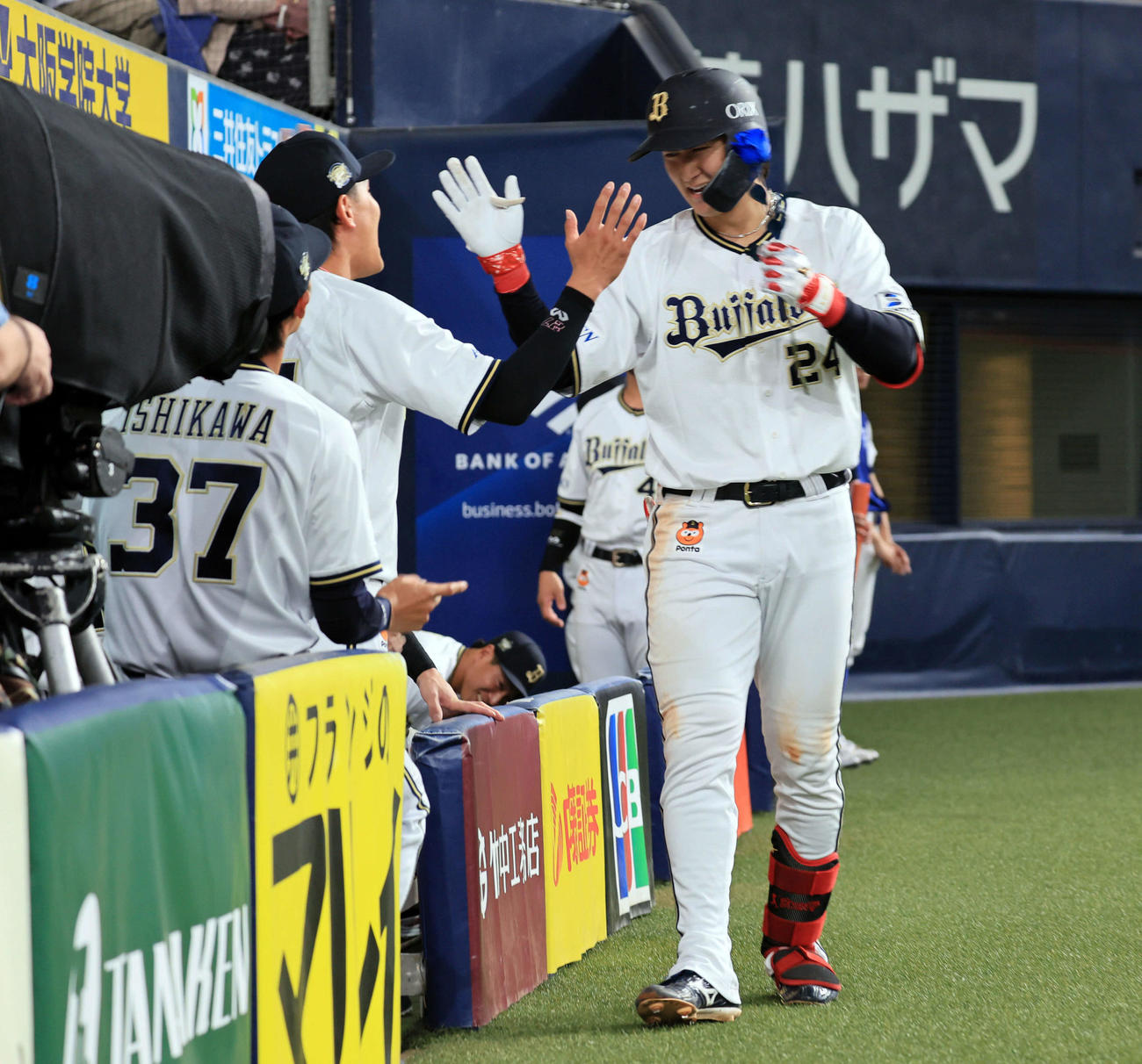 オリックス対ソフトバンク　5回裏オリックス1死、紅林は左越え本塁打を放ち、青いバラを手にハイタッチ（撮影・宮崎幸一）