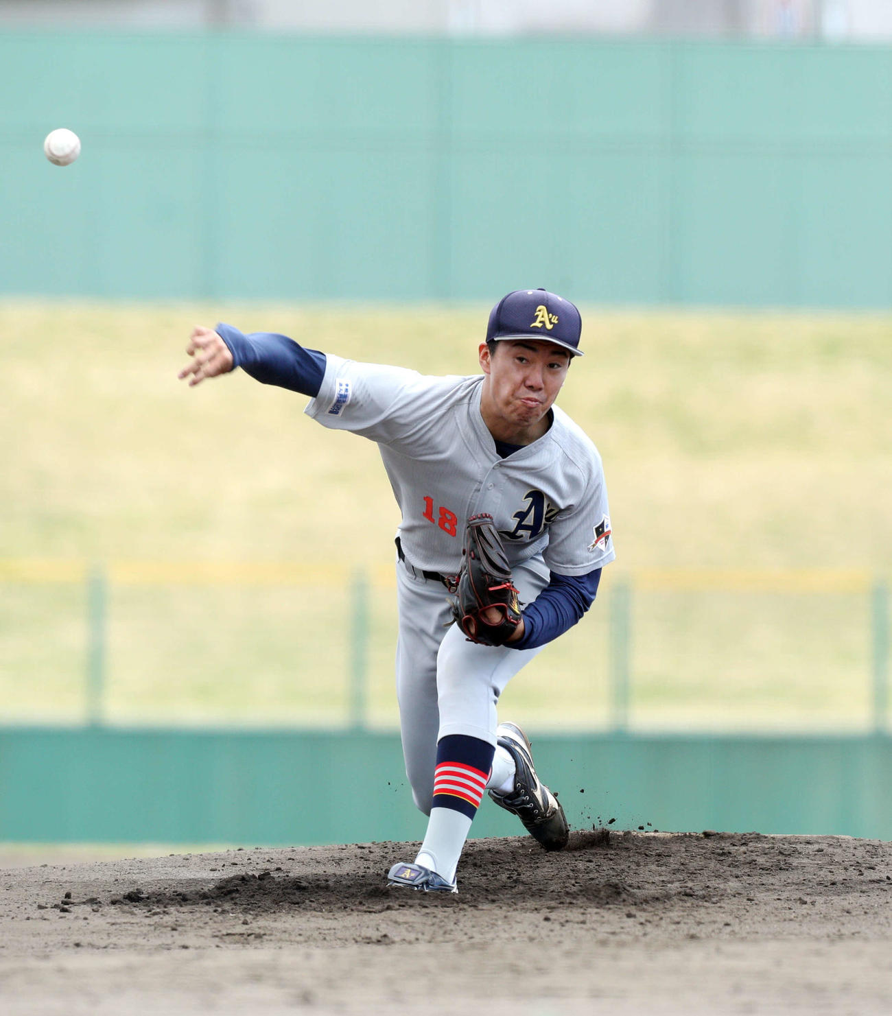 青森大対ノースアジア大　先発の青森大・藤沢（撮影・木村有優）