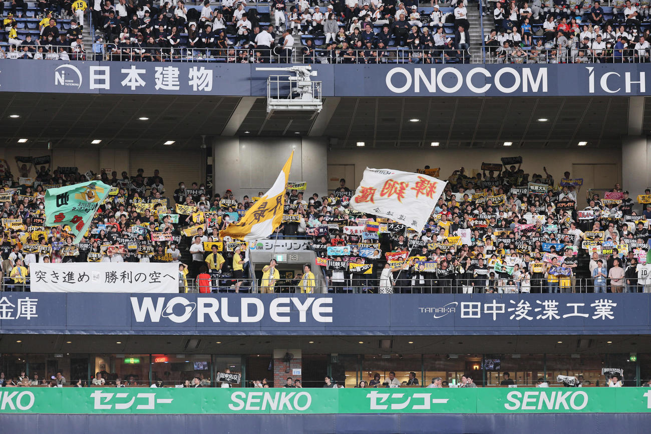 オリックス対ソフトバンク　応援するソフトバンクファン（撮影・宮崎幸一）