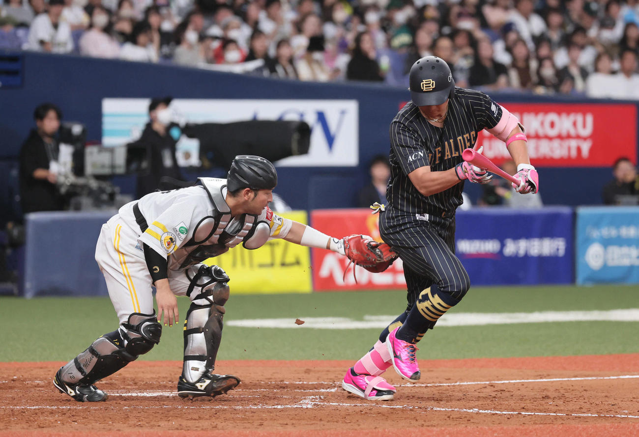 オリックス対ソフトバンク　4回裏オリックス1死、嶺井は三振振り逃げを狙った杉本にタッチする（撮影・宮崎幸一）