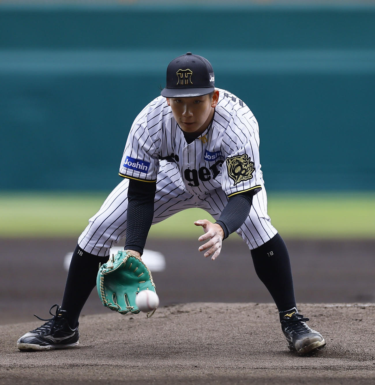 阪神対中日　1回表中日2死、上林を投ゴロに打ち取る伊原（撮影・藤尾明華）