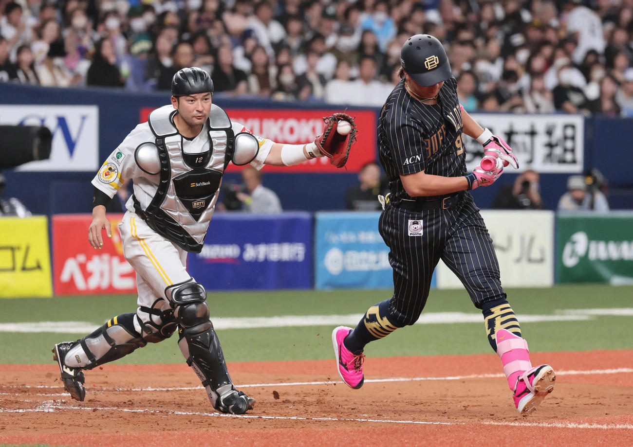 オリックス対ソフトバンク　4回裏オリックス1死、嶺井は三振振り逃げを狙った杉本にタッチする（撮影・宮崎幸一）