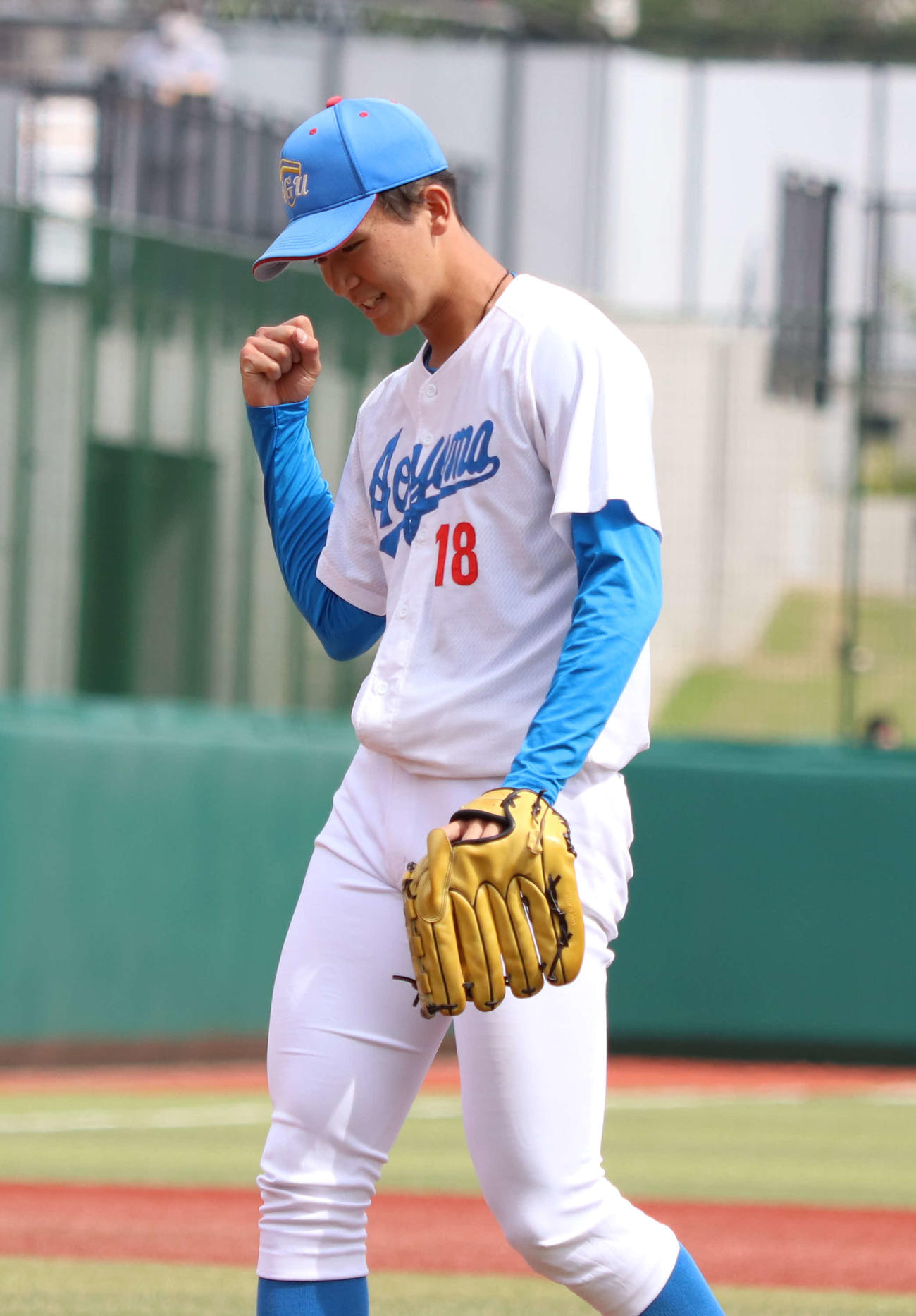 亜大対青学大　1点リードを守り切り完投した青学大の鈴木（撮影・泉光太郎）