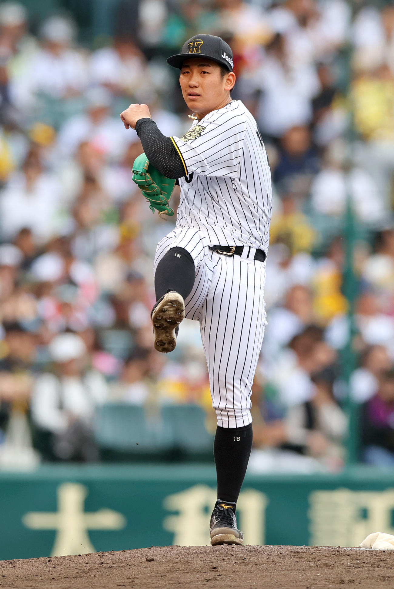 阪神対中日　5回表中日2死一塁、投球前に体を動かす伊原（撮影・上山淳一）
