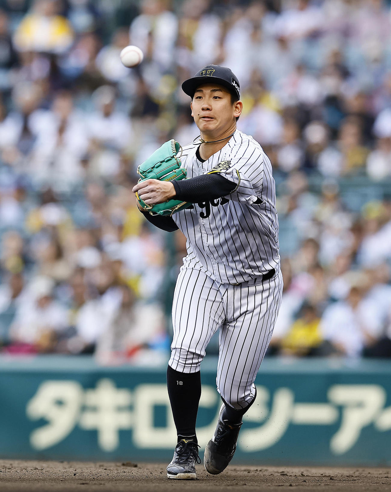 阪神対中日　6回表中日無死一、二塁、カリステの投前バントで、三塁へ送球し封殺する伊原（撮影・藤尾明華）