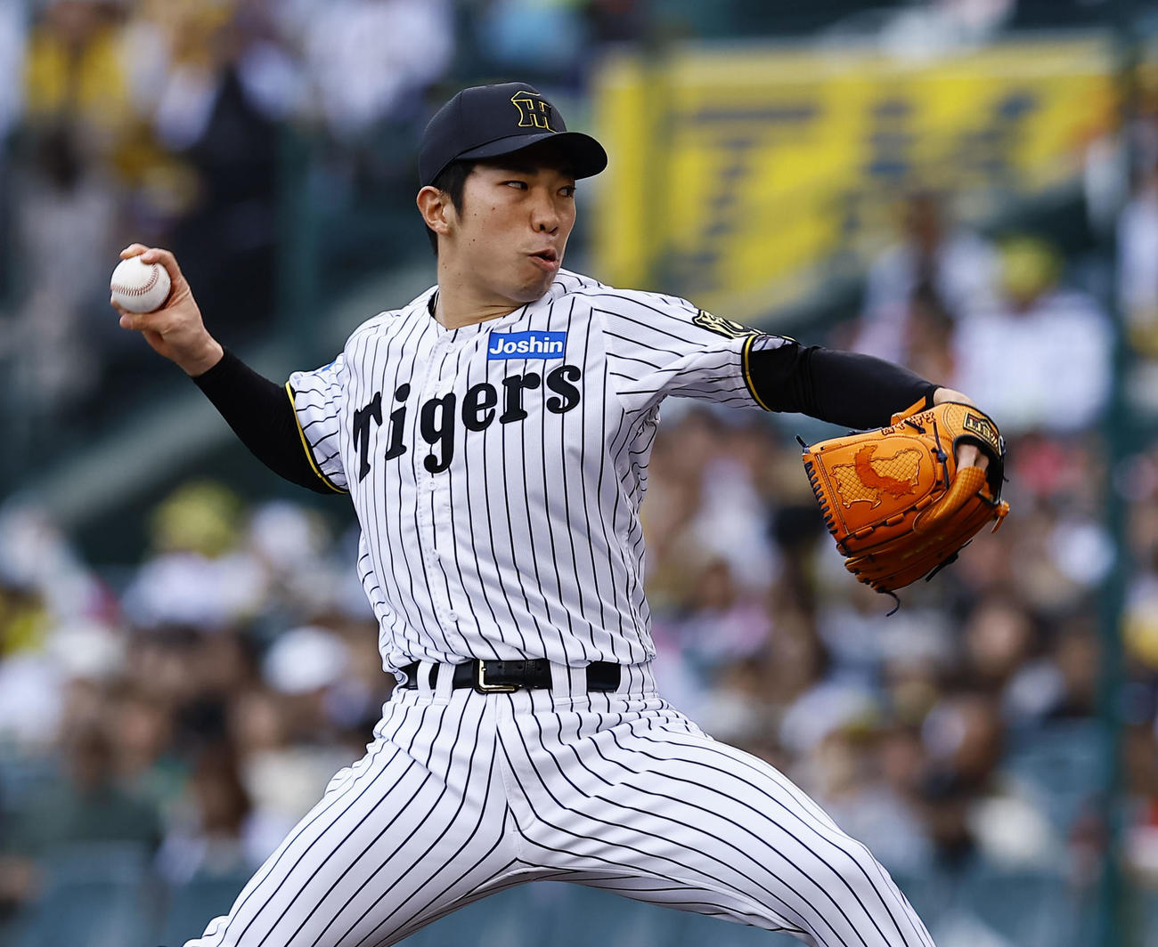 阪神対中日　8回、4番手で登板した阪神石井（撮影・藤尾明華）
