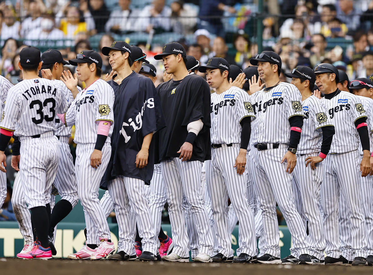 阪神対中日　中日に勝利し、ナインを出迎える左から3人目から阪神湯浅、及川、石井、藤川監督（撮影・藤尾明華）