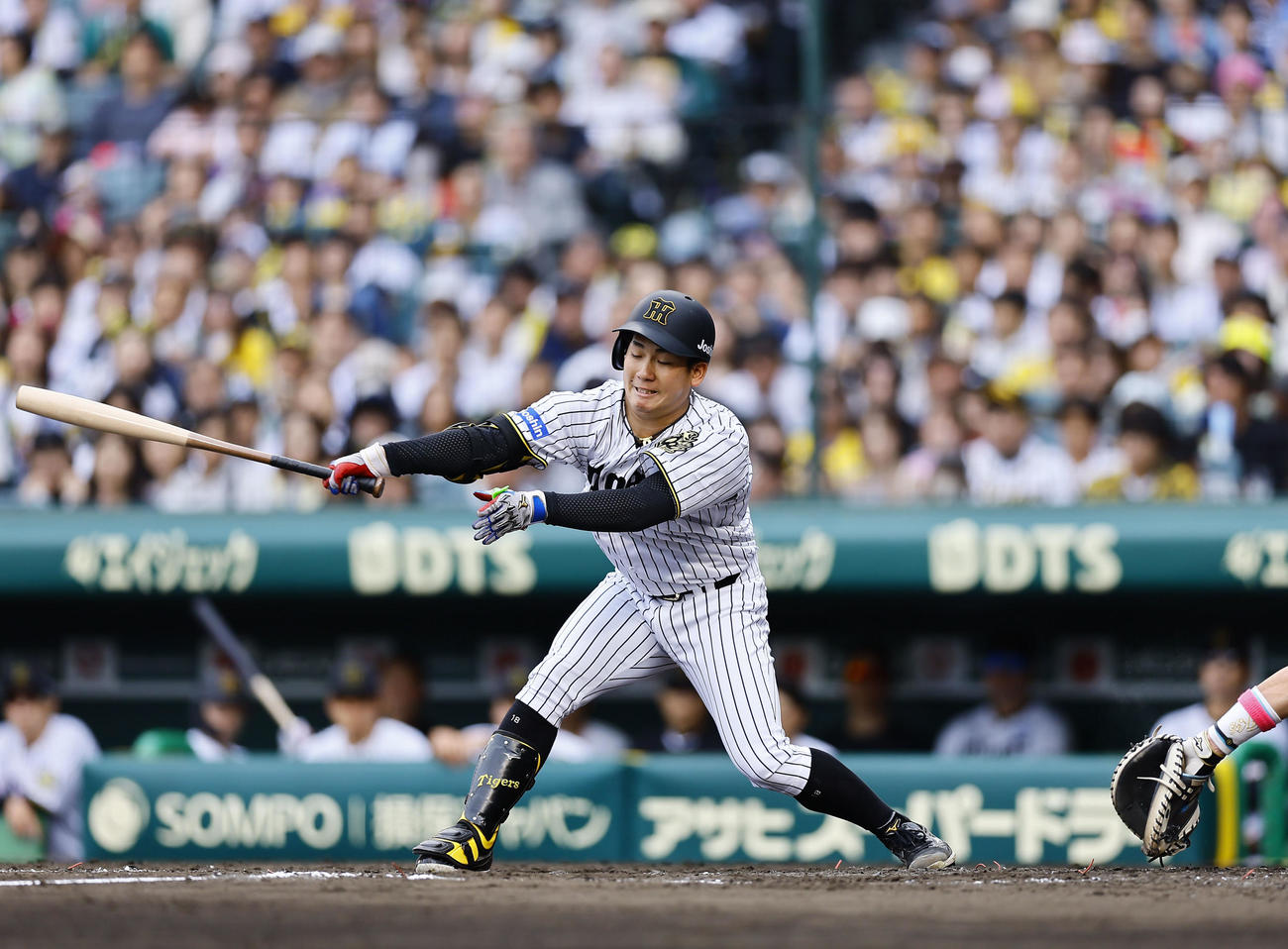 阪神対中日　4回裏阪神2死一、二塁、空振り三振に倒れる伊原（撮影・藤尾明華）