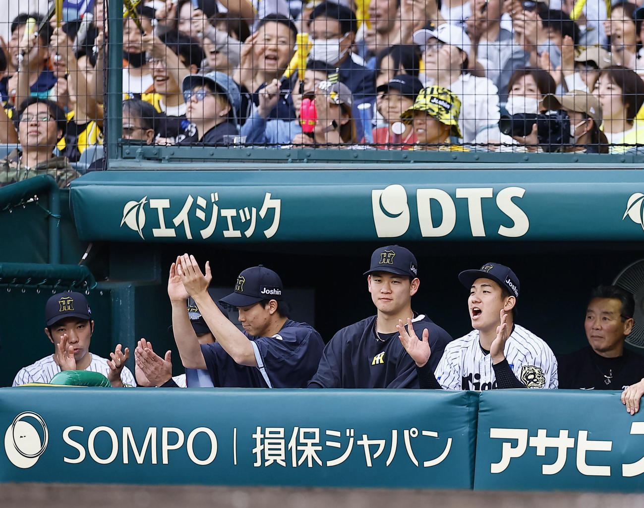 阪神対中日　2勝目を飾りベンチで手をたたく阪神伊原（右から2人目）（撮影・藤尾明華）