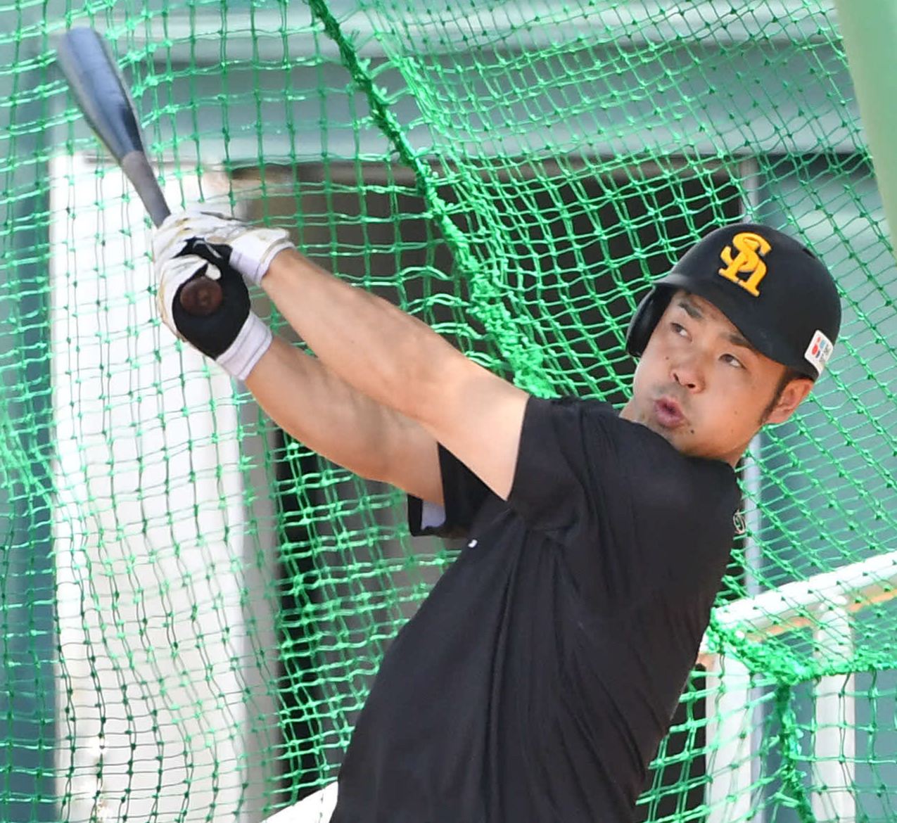 フリー打撃を行うソフトバンク近藤（撮影・岩下翔太）