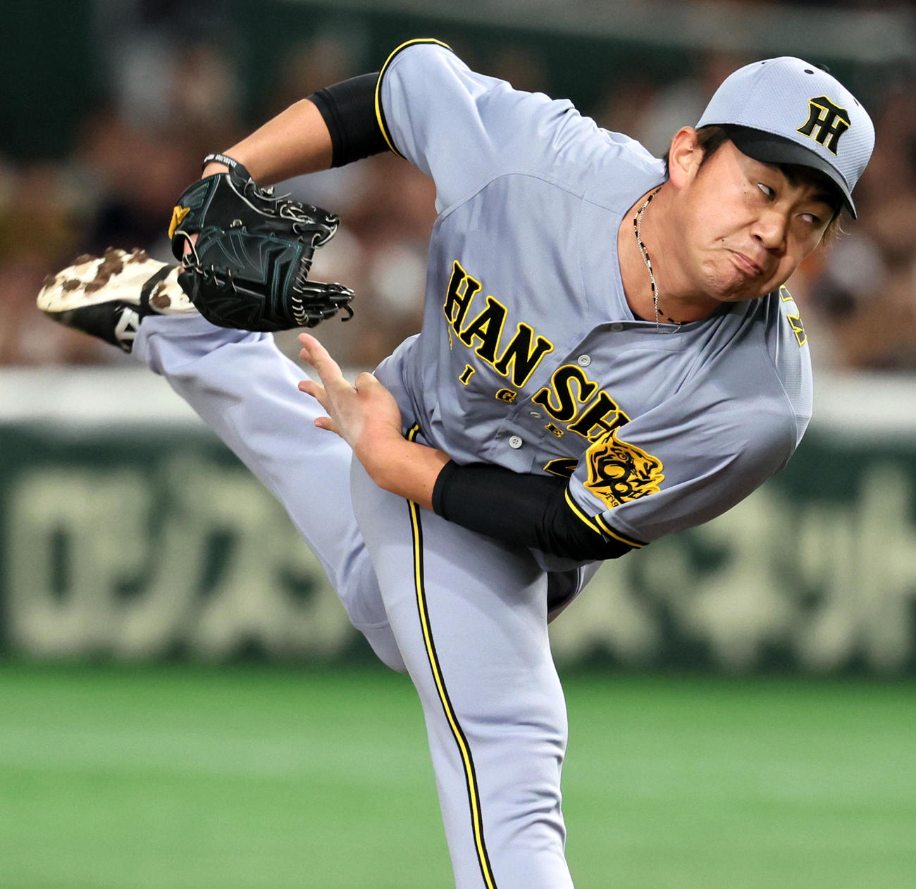阪神桐敷拓馬（2025年5月6日撮影）