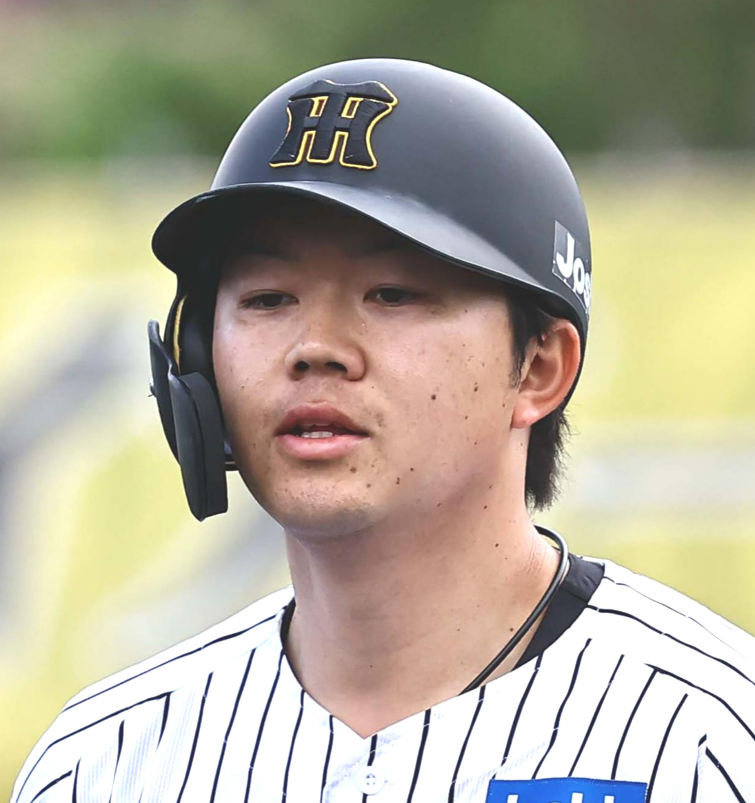 阪神楠本泰史（2025年2月撮影）