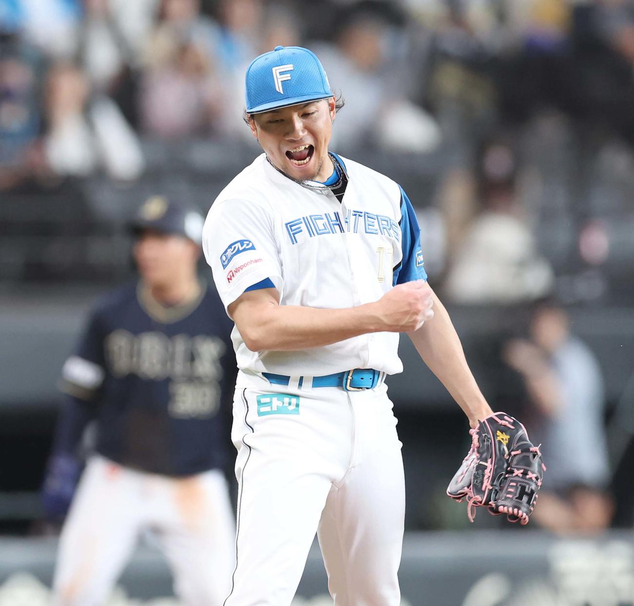 日本ハム対オリックス　7回表オリックス2死三塁、若月を三振にとり叫ぶ伊藤（撮影・黒川智章）