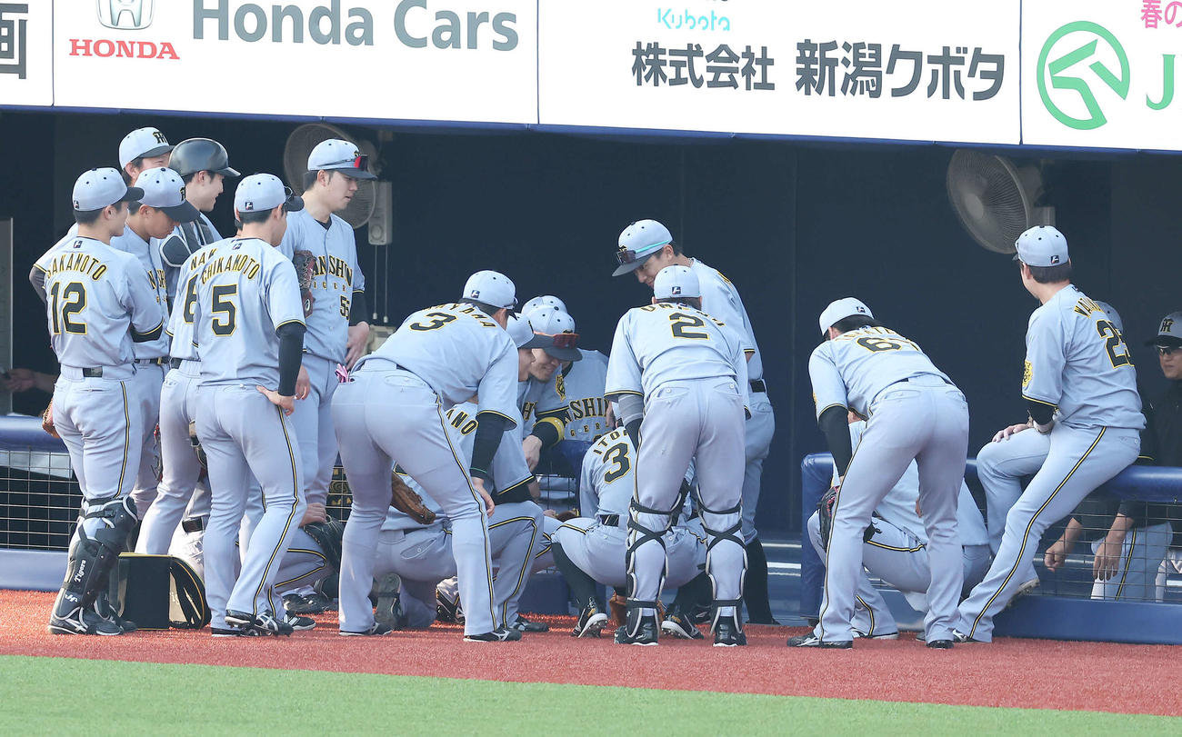 DeNA対阪神　試合前円陣を組む阪神ナイン（撮影・河田真司）