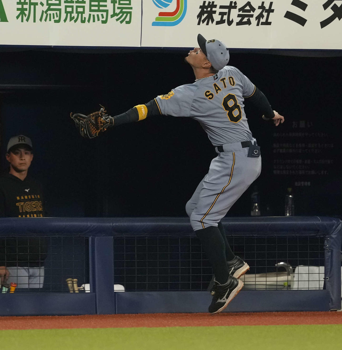 DeNA対阪神　6回裏DeNA2死、三森大貴の邪飛を捕球する佐藤輝（撮影・井上学)
