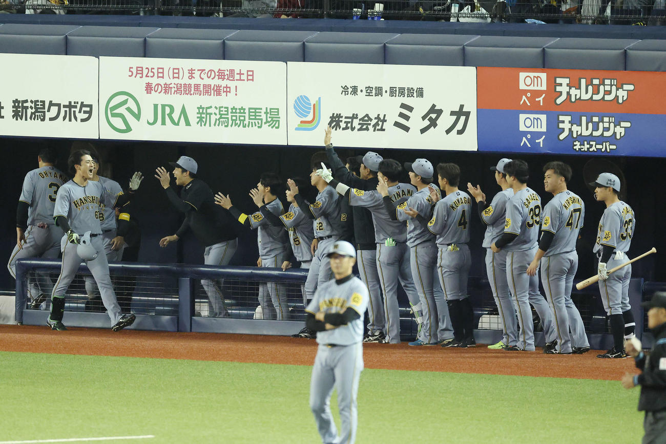 DeNA対阪神　9回表阪神2死、右越え同点ソロ本塁打で生還する高寺を迎えるチームメート（撮影・河田真司）