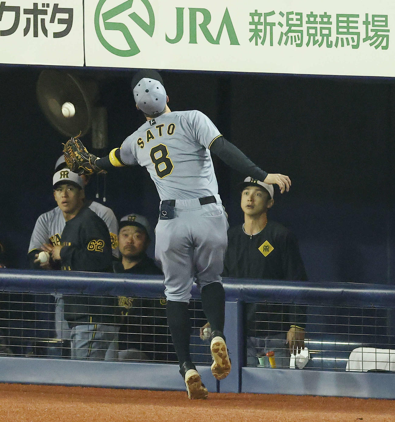 DeNA対阪神　6回裏DeNA2死、三森の邪飛を捕球する佐藤輝（撮影・河田真司）