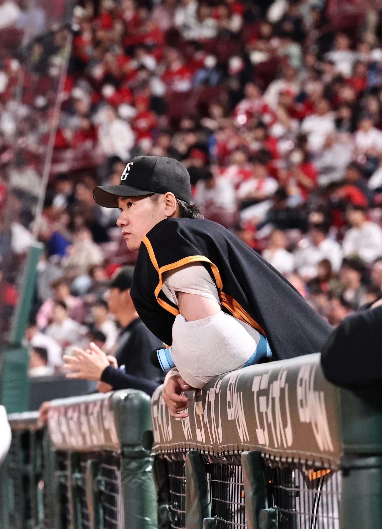 広島対巨人　ベンチで戦況を見守る井上（撮影・上田博志）