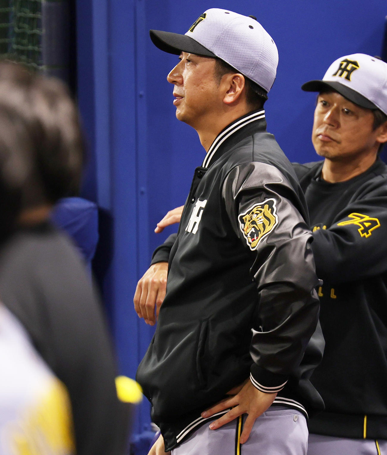 DeNA対阪神　試合を見つめる阪神藤川監督（撮影・野上伸悟）