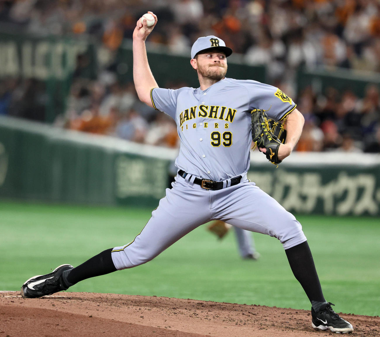 阪神ビーズリー（2025年5月5日撮影）