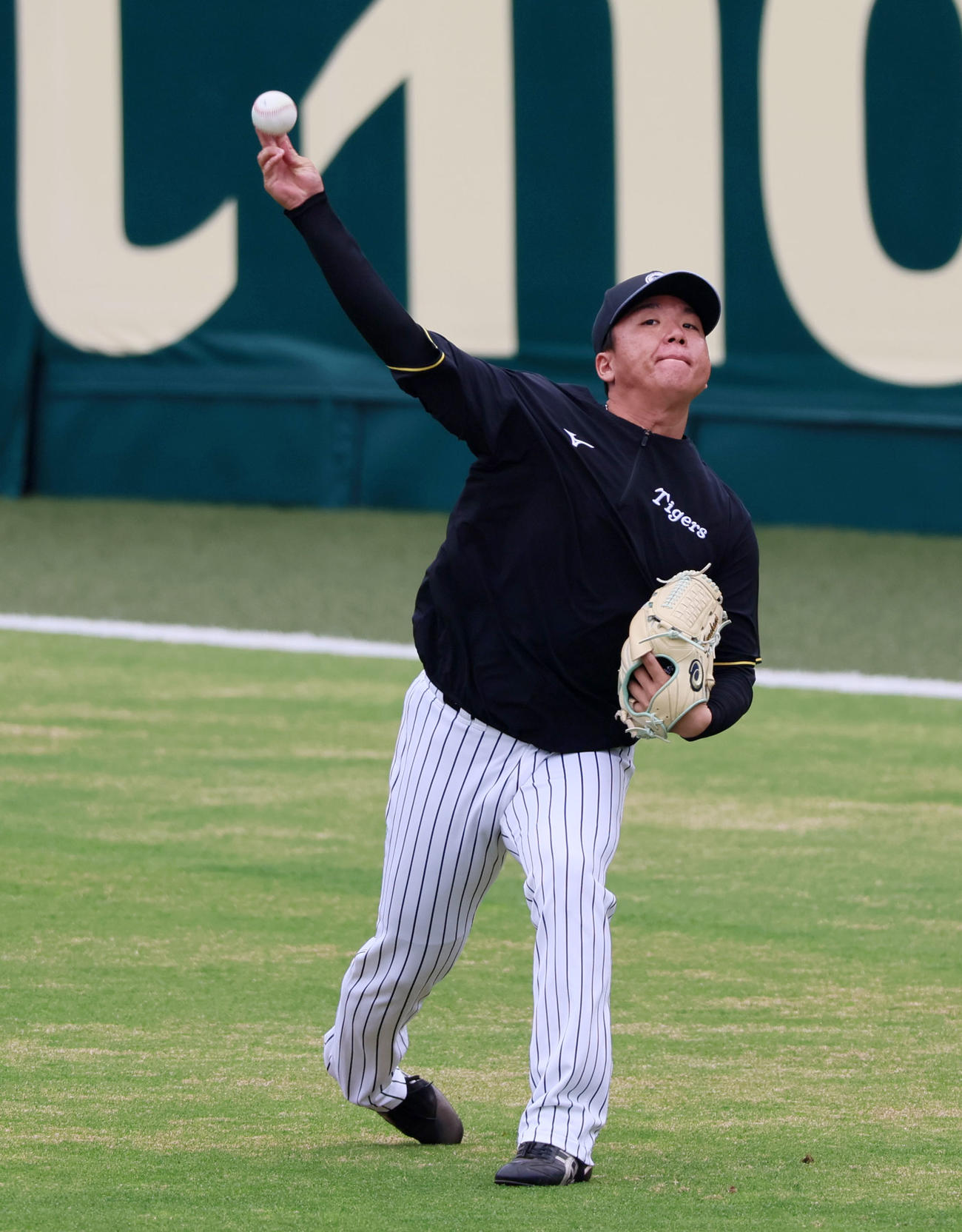 阪神対広島　練習でキャッチボールする村上（撮影・加藤哉）
