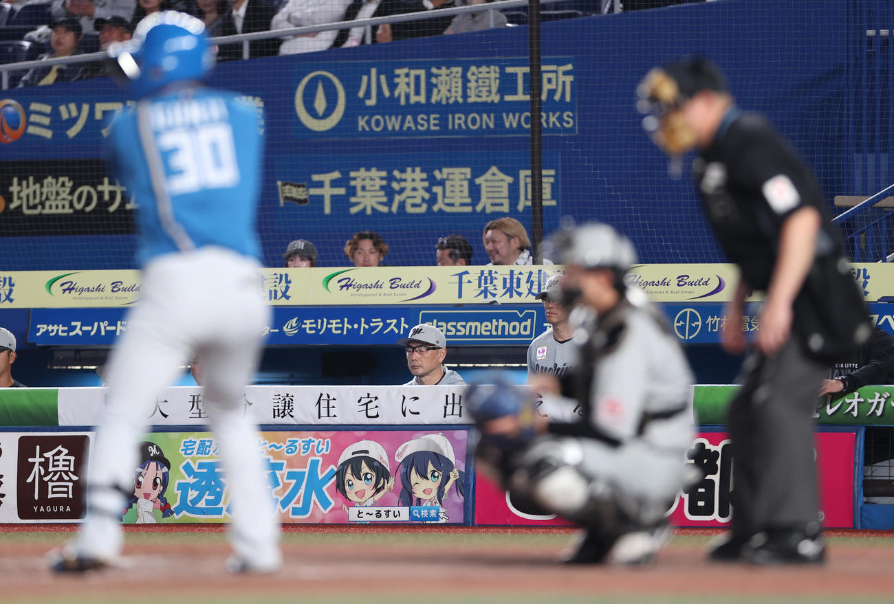 ロッテ対日本ハム　厳しい表情で戦況を見守るロッテ吉井監督（撮影・水谷安孝）