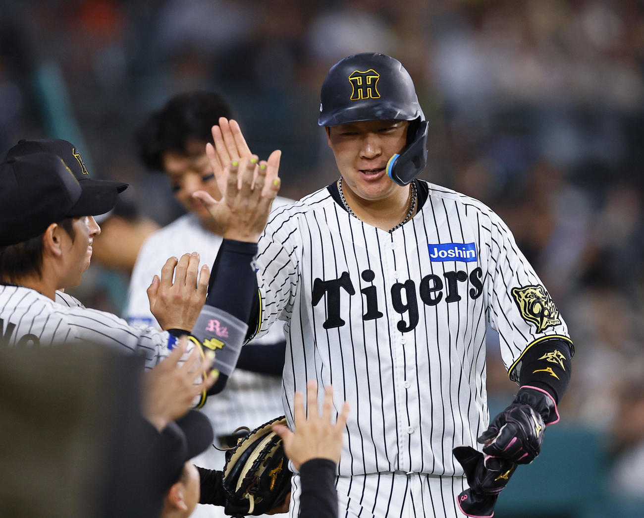 阪神対広島　　7回裏阪神1死二、三塁、木浪の中前適時打で生還し、ナインとタッチを交わす大山（撮影・藤尾明華）