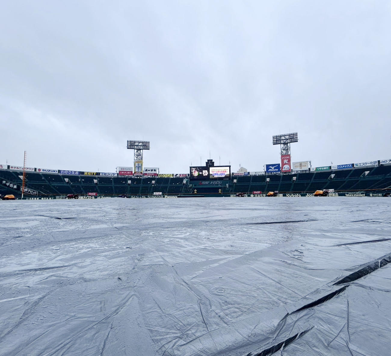 阪神対広島　昨夜からの雨でグラウンドにはシートが掛けられたままの甲子園球場（撮影・加藤哉）