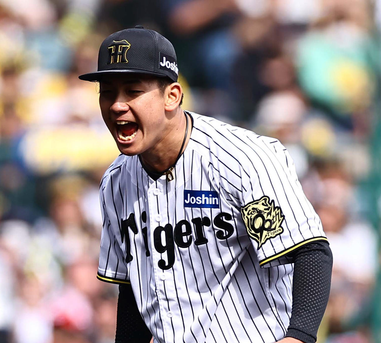 阪神伊原陵人（2025年撮影）