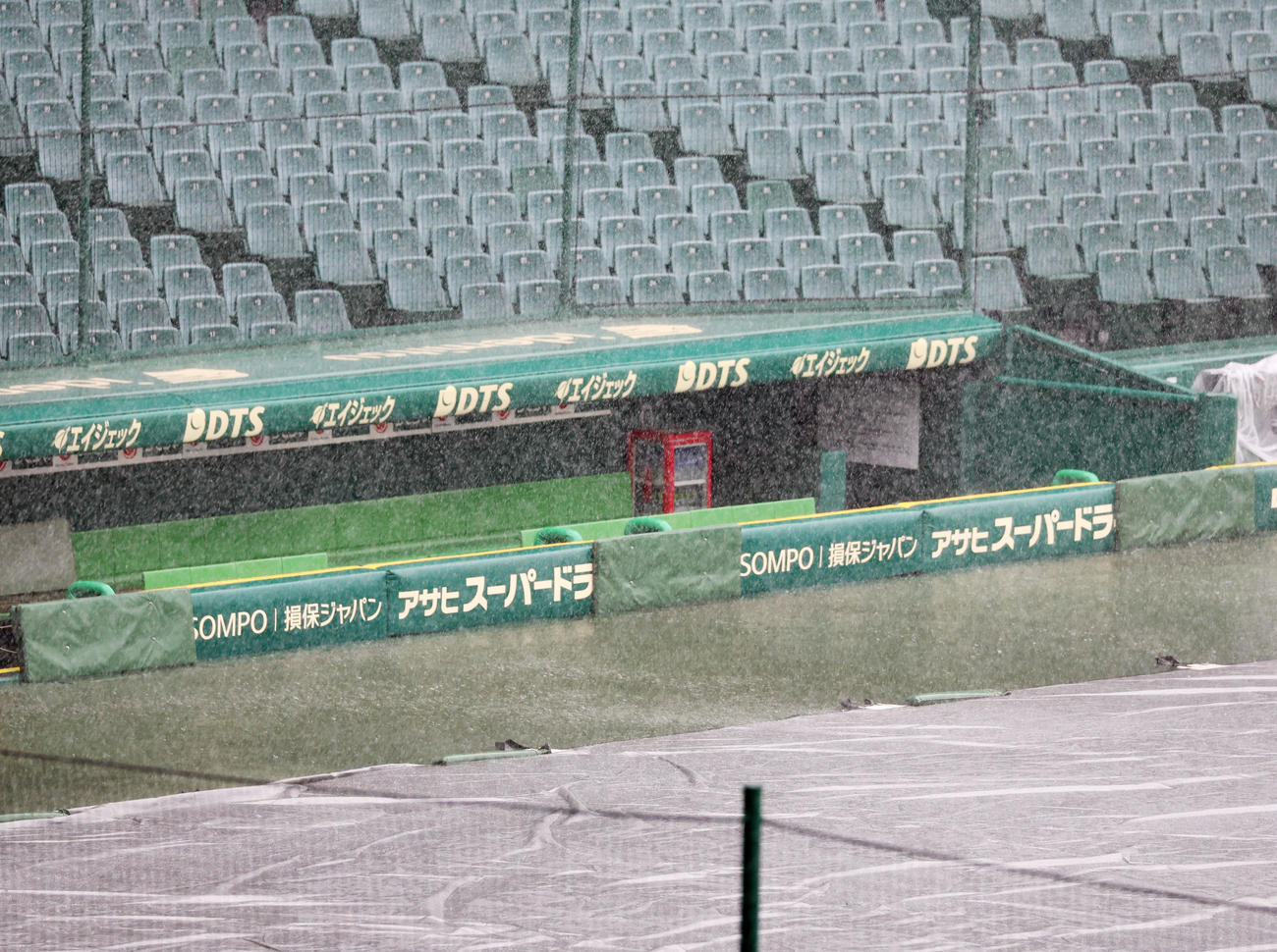 阪神対広島　練習開始時点では豪雨の甲子園球場（撮影・加藤哉）