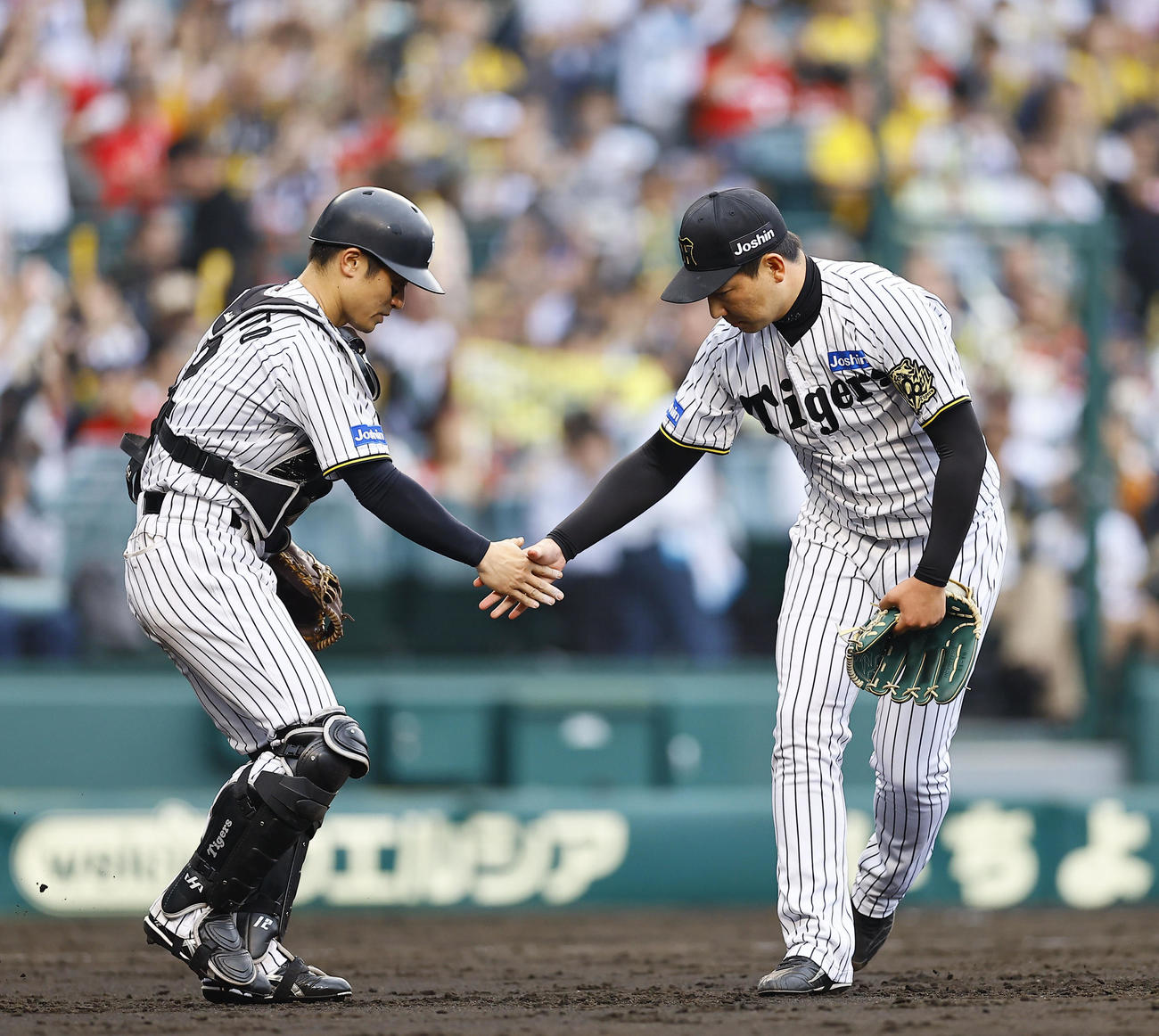 阪神対広島　9回表広島2死、末包昇大を打ち取り坂本と握手を交わす岩崎（撮影・藤尾明華）