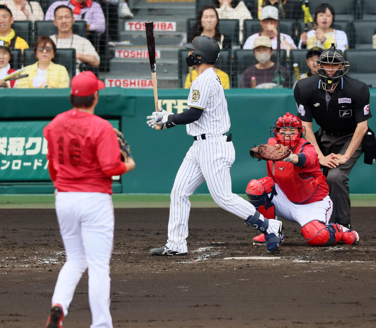 阪神対広島　4回裏阪神2死三塁、四球を選ぶ坂本。投手床田（撮影・加藤哉）