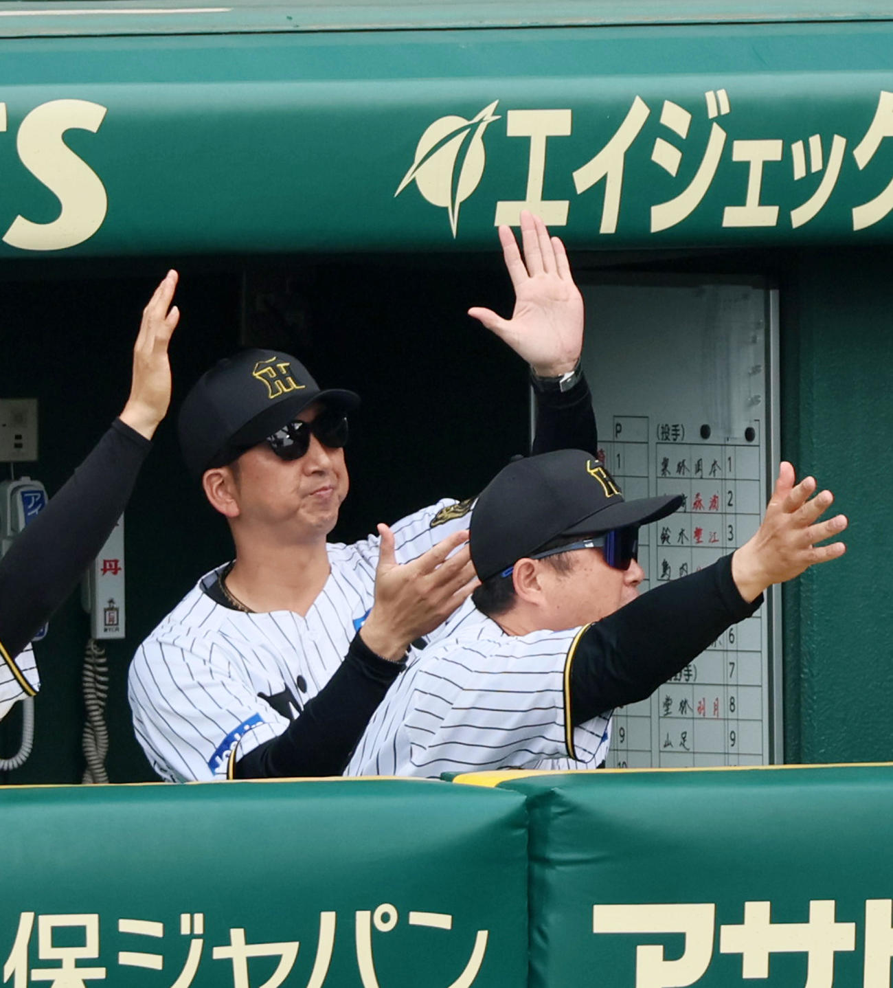 阪神対広島　5回裏阪神1死二、三塁、大山の左越え2点適時二塁打で生還した走者にベンチの中からタッチの手を挙げる藤川監督（撮影・加藤哉）