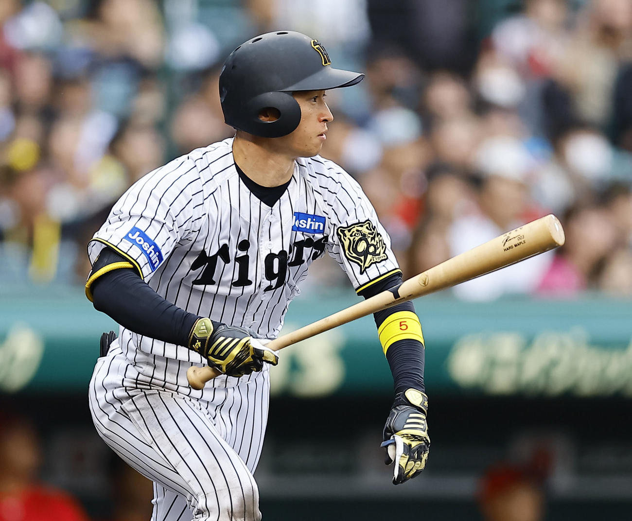 阪神対広島　6回裏阪神2死、近本は中前打を放つ（撮影・藤尾明華）