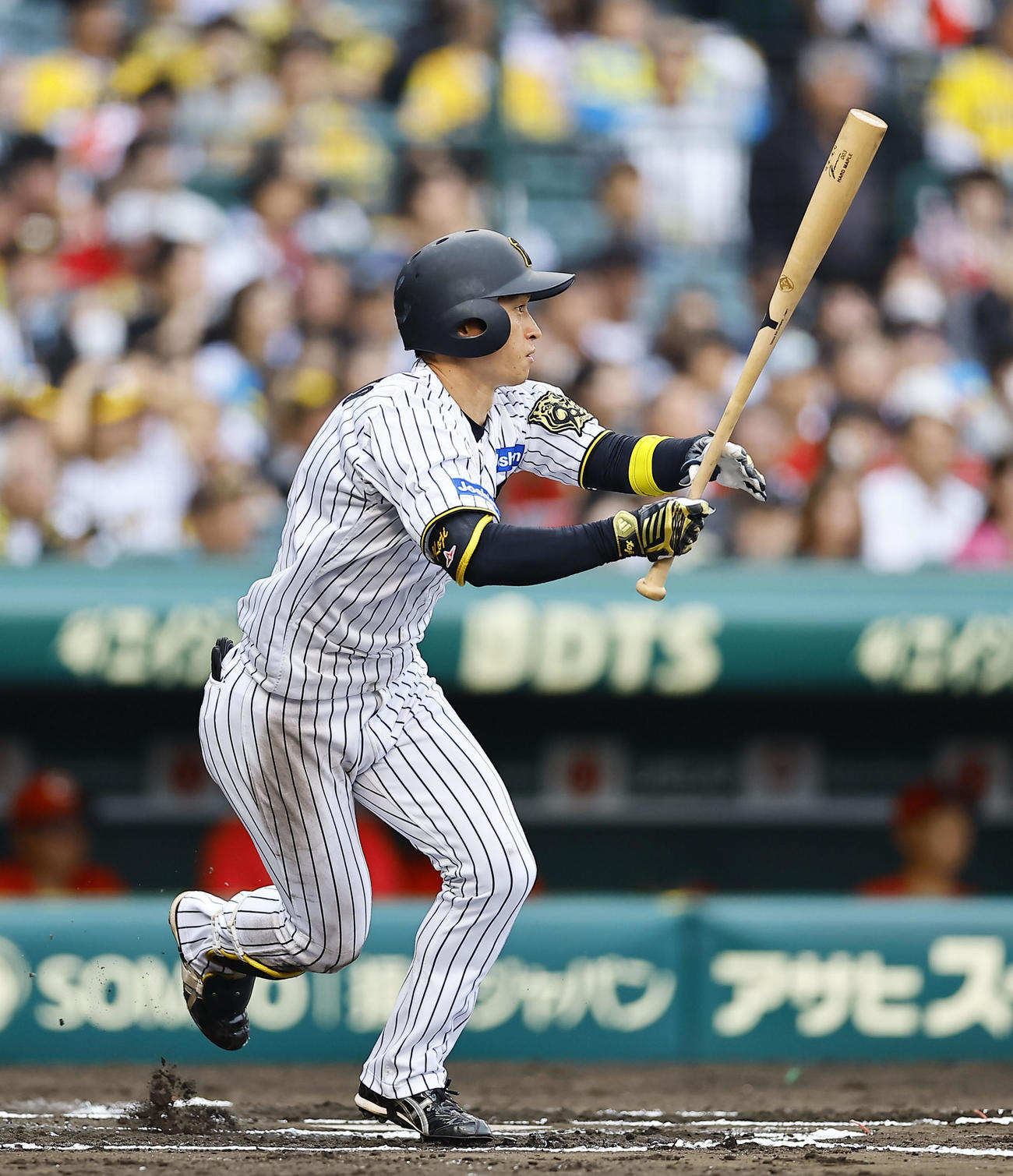 阪神対広島　6回裏阪神2死、近本は中前打を放つ（撮影・藤尾明華）