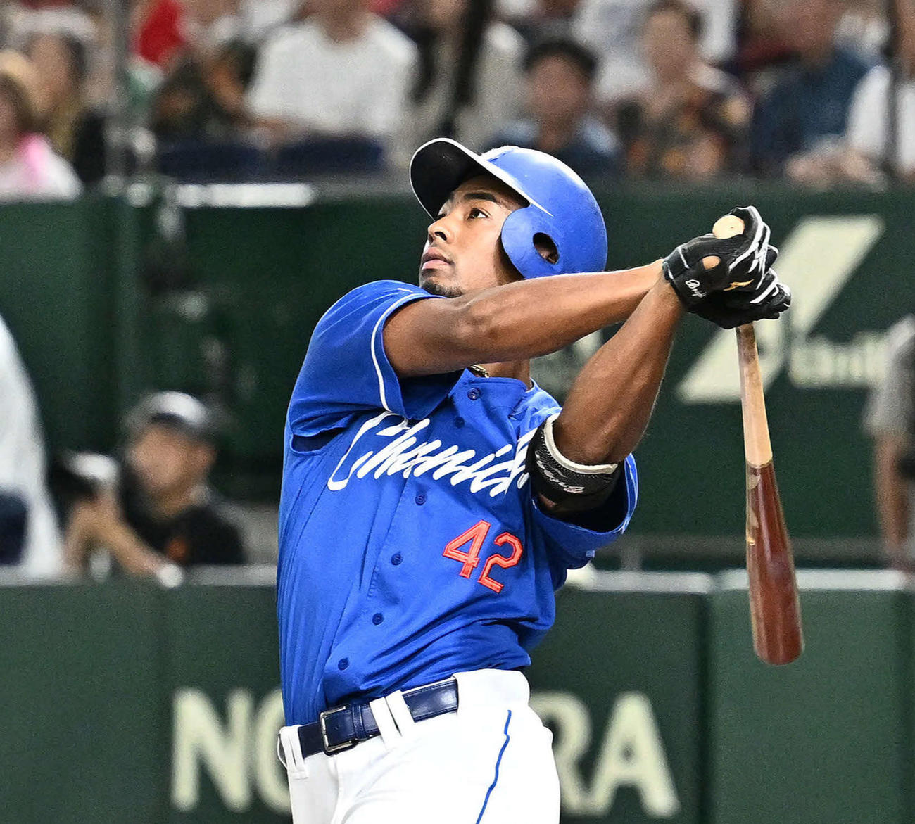 中日ブライト健太