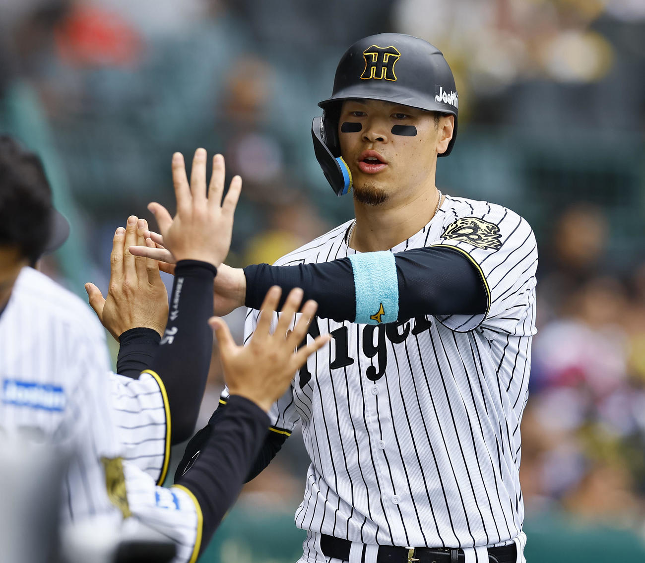 阪神対広島　4回裏阪神2死一、三塁、木浪の中前適時打で生還し、ナインとタッチを交わす佐藤輝（撮影・藤尾明華）