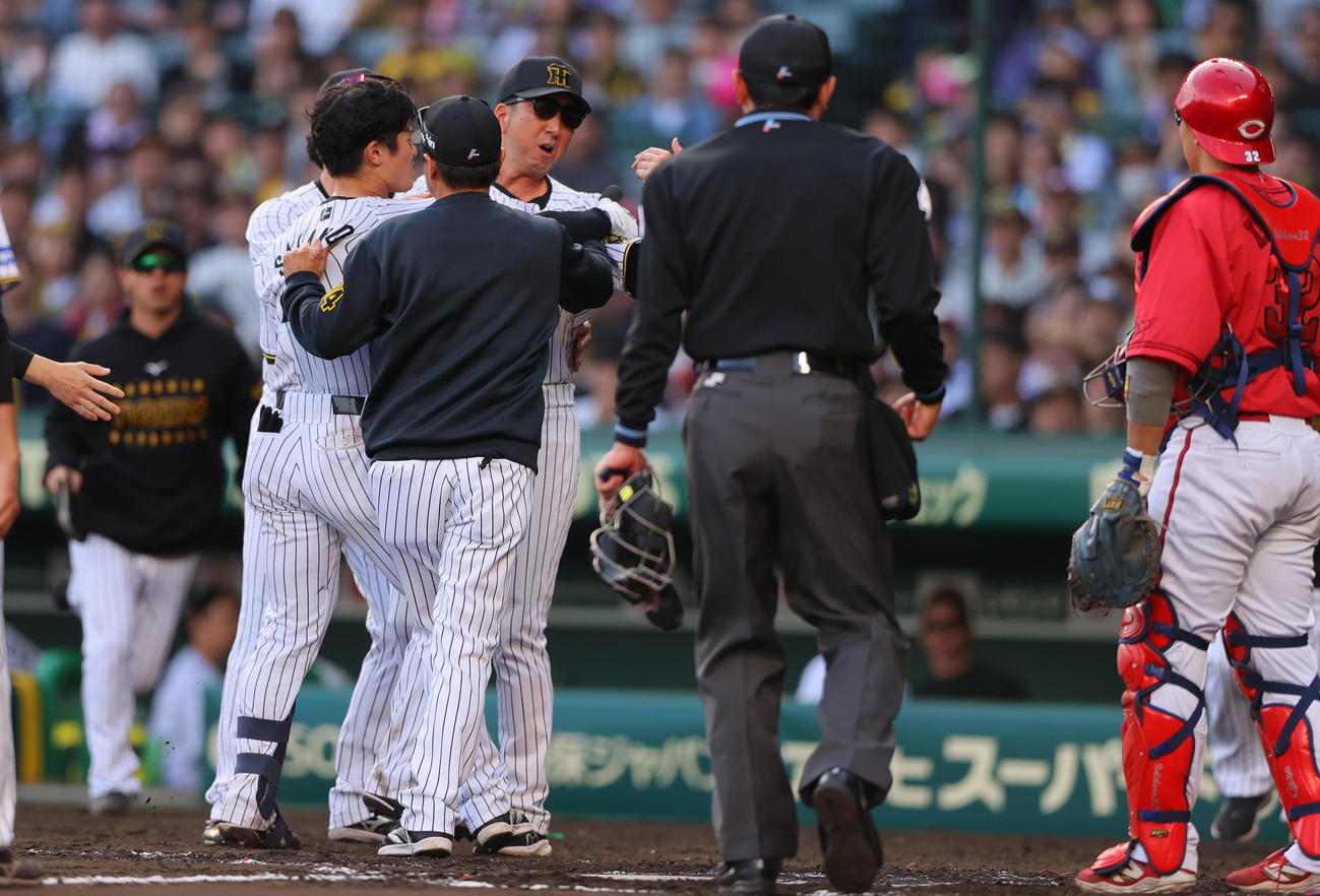4月20日広島戦の8回、坂本への頭部死球に激高する藤川監督