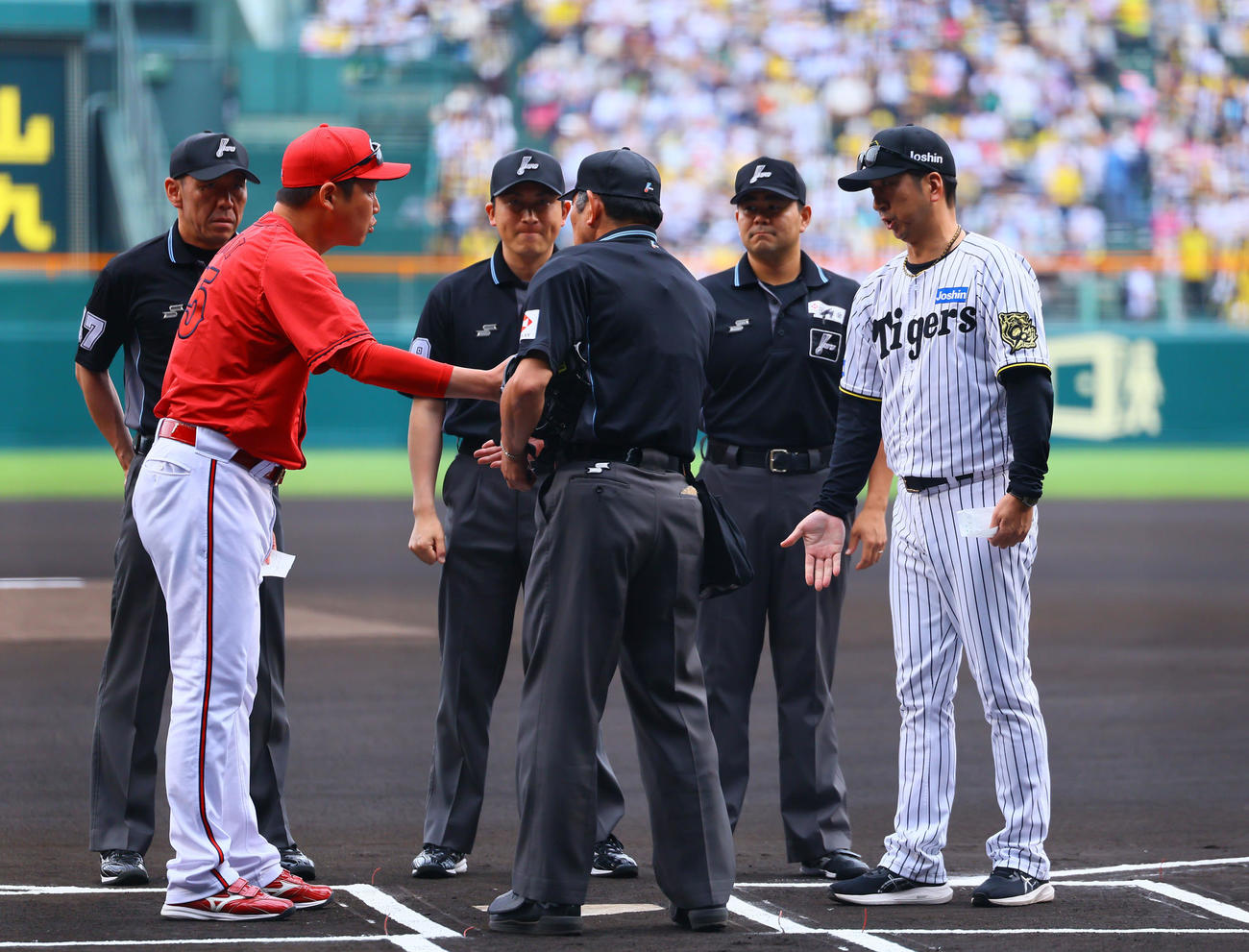 阪神対広島　メンバー表交換で審判との握手を譲り合う広島新井監督（左）と阪神藤川監督（撮影・藤尾明華）