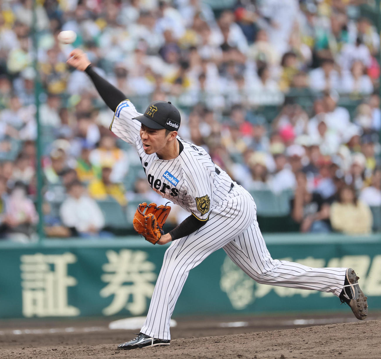 阪神対広島　最後を締めた石井（撮影・宮崎幸一）