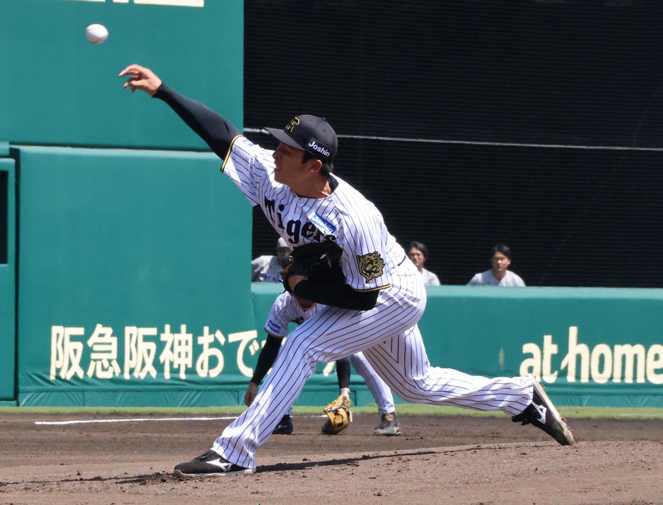 力投する阪神椎葉剛（2025年5月5日撮影）