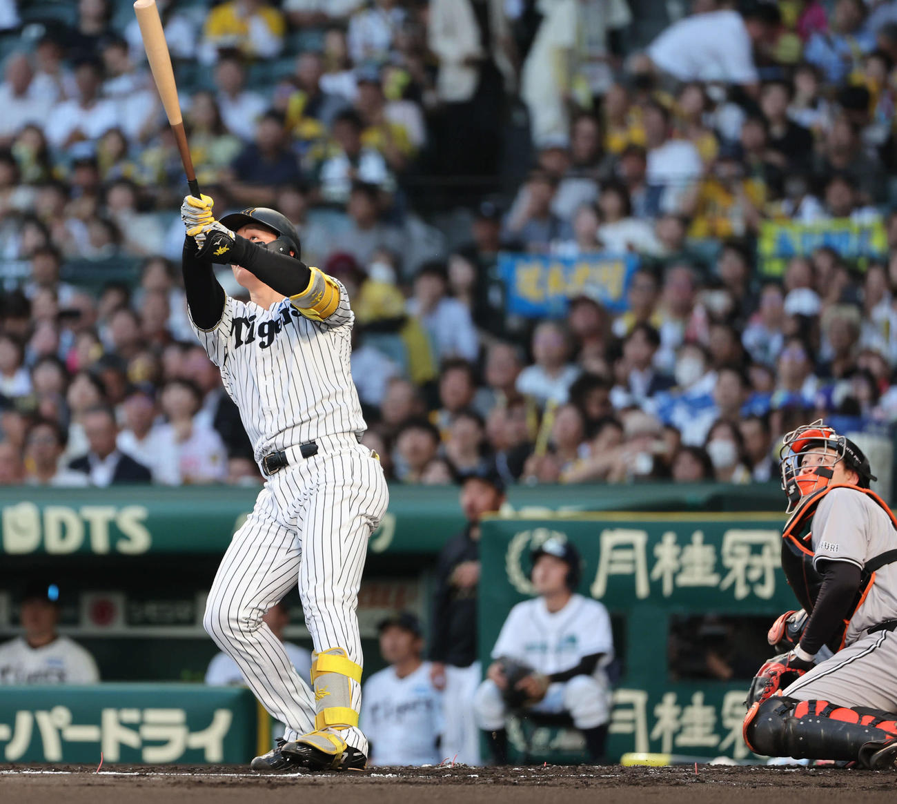 阪神対巨人　1回裏阪神1死一塁、森下は左越えに2点本塁打を放つ（撮影・西尾就之）