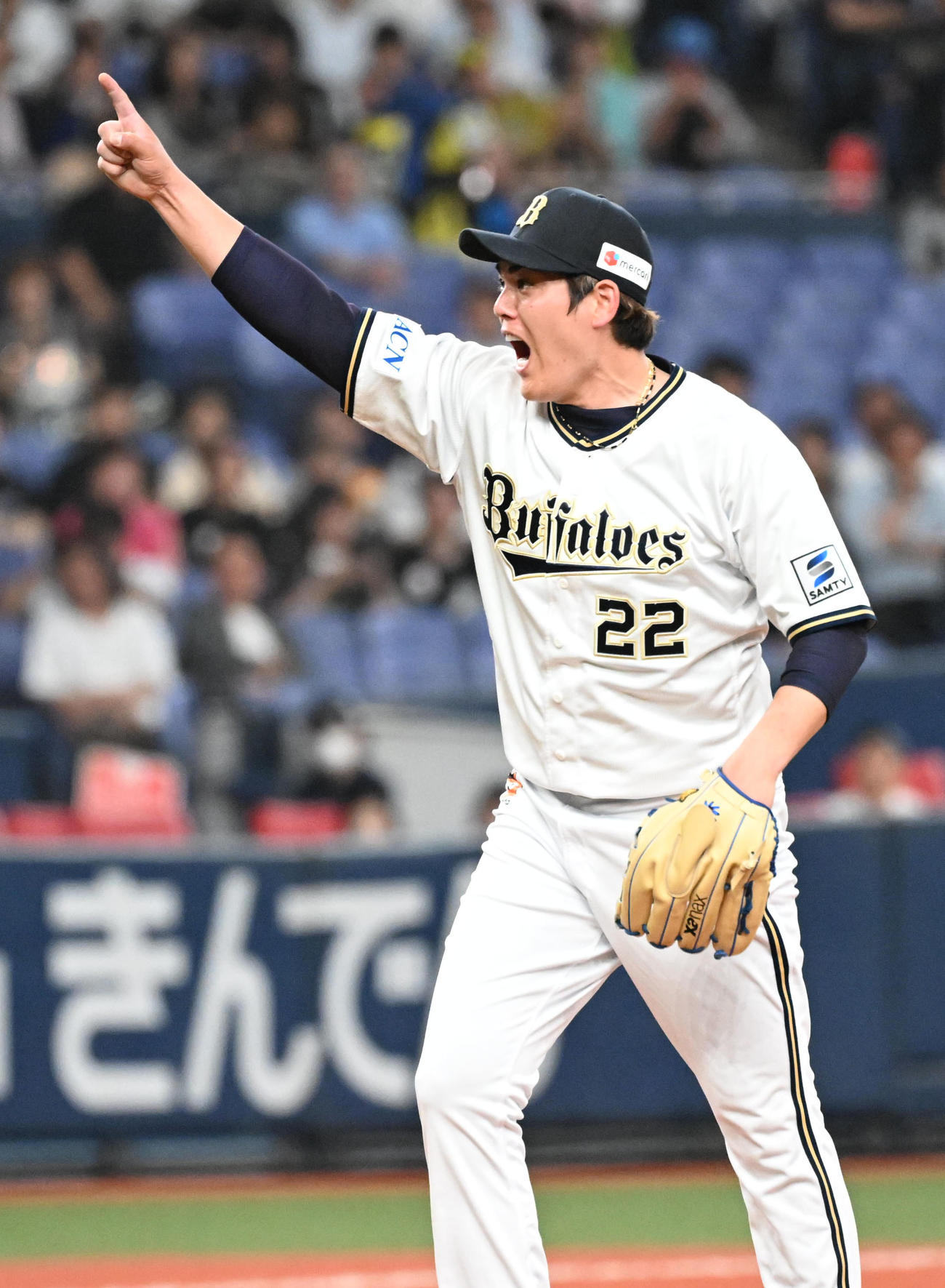 オリックス対ロッテ　7回表ロッテ2死一塁、ポランコのハーフスイングをアピールする九里（撮影・和賀正仁）