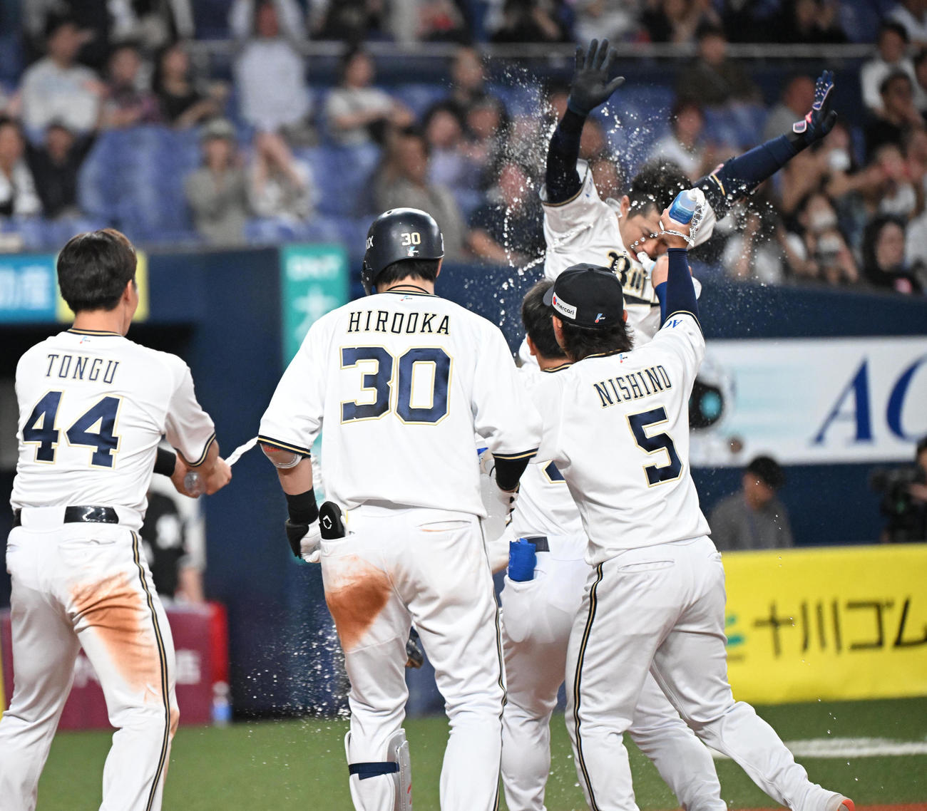 オリックス対ロッテ　9回裏オリックス無死、左越えにサヨナラ本塁打を放ち、ナインが待つ本塁に飛び込む若月（撮影・和賀正仁）
