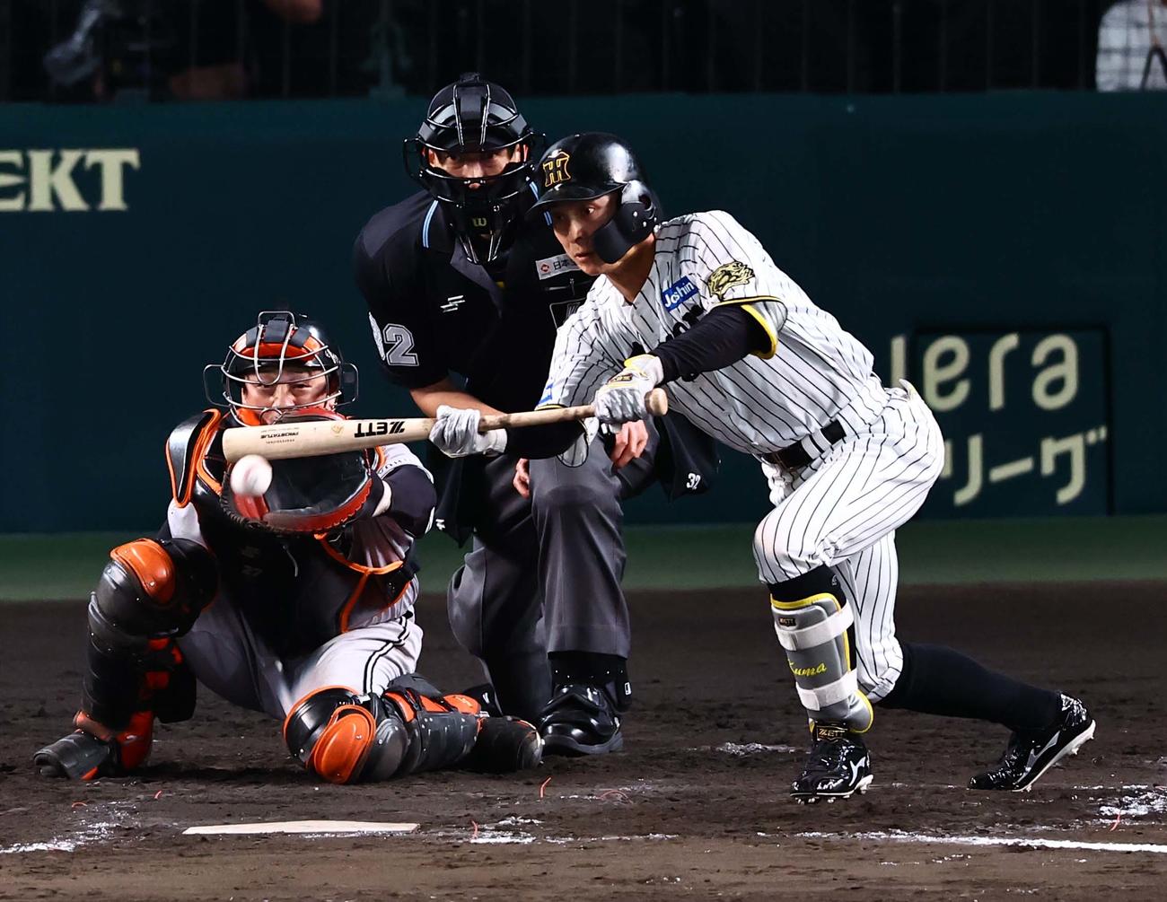 阪神対巨人　8回裏阪神無死一塁、セーフティーバントを決める熊谷（撮影・上田博志）