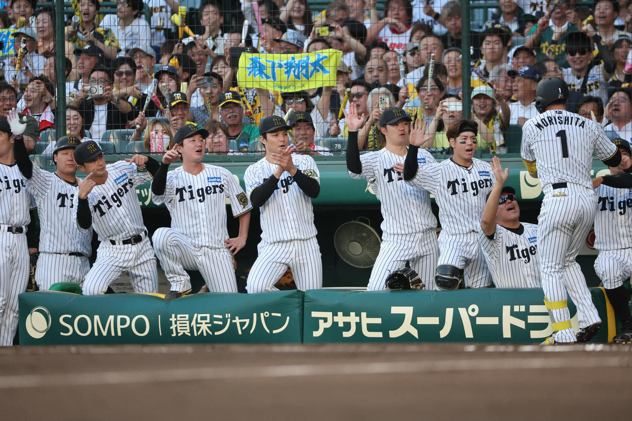 先制本塁打の森下翔太（右）を迎え盛り上がる阪神ベンチ