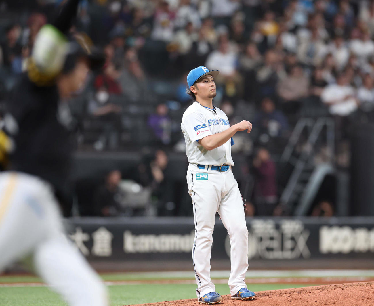 ソフトバンク川瀬に右越え本塁打を浴びる伊藤大海