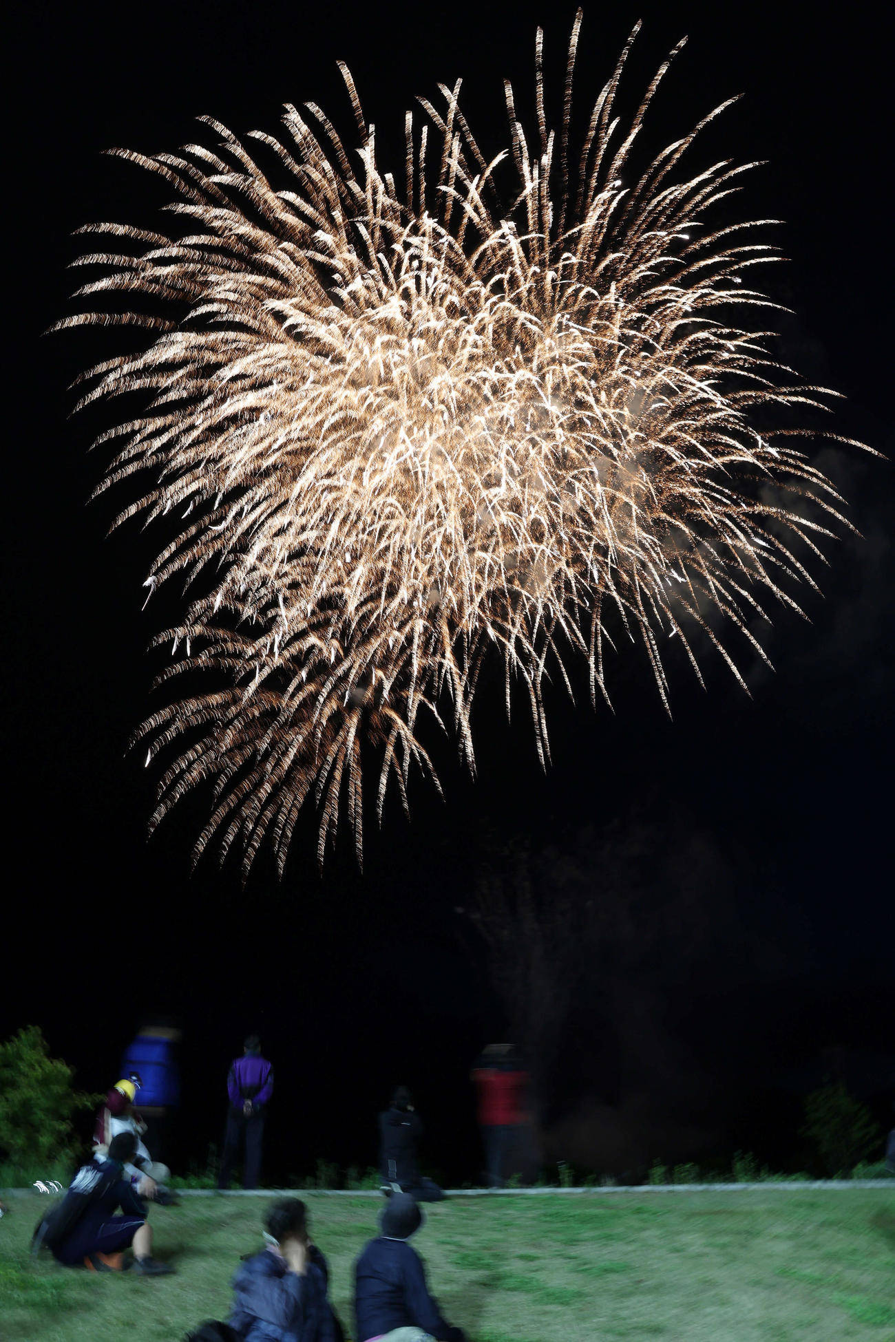 楽天対西武　5回終了後、打ち上がる花火（撮影・宮地輝）