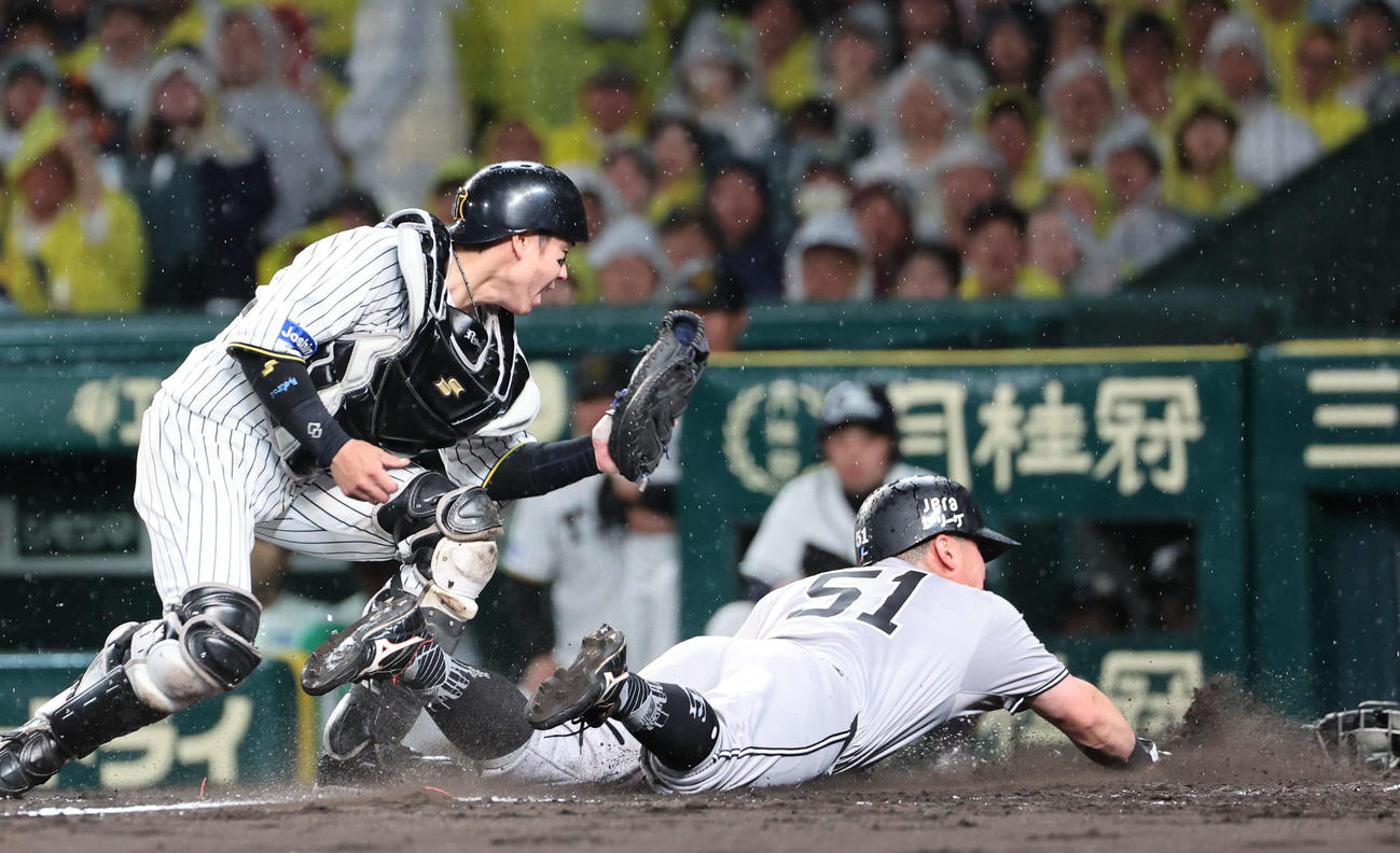 阪神対巨人　4回表巨人1死三塁、三走浅野は井上の遊ゴロで生還。捕手梅野。1度はアウトコールもリプレー懸賞で覆った（撮影・西尾就之）