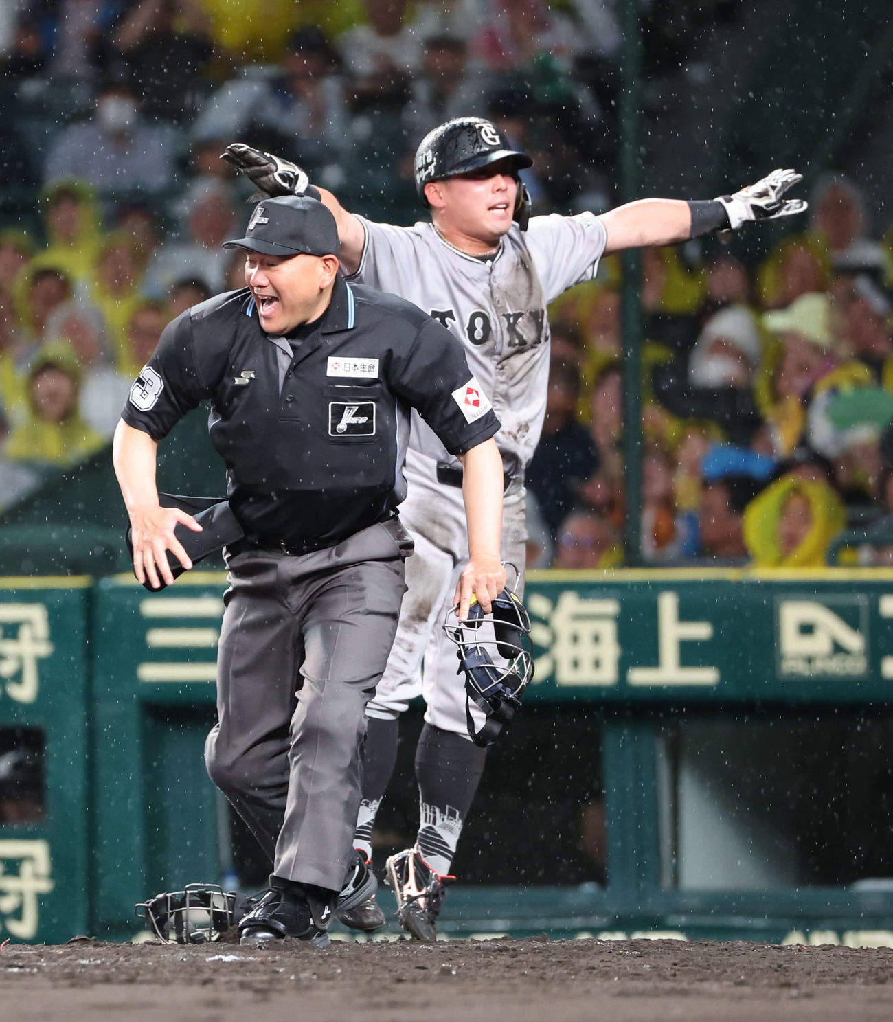 阪神対巨人　４回表巨人１死三塁、三走浅野は井上の遊ゴロで本塁を狙い、アウトコールにベンチに向かってセーフをアピール（撮影・西尾就之）